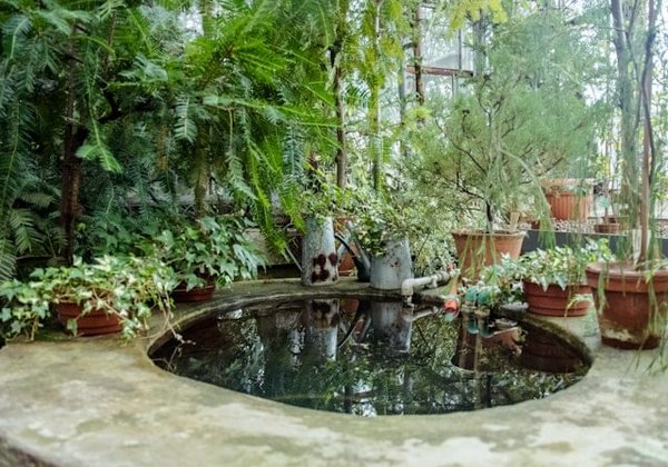 Quelle est la meilleure façon de collecter et réutiliser l'eau de pluie ?