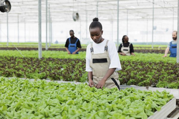 Quelles sont les méthodes efficaces pour apprendre les bases de l'écriture créative en ligne ?